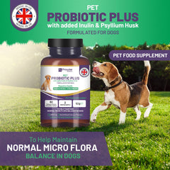 Dog with Pet Probiotic Plus supplement for digestive health