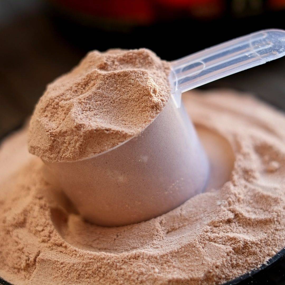 Scoop of whey protein powder in black cookie flavor