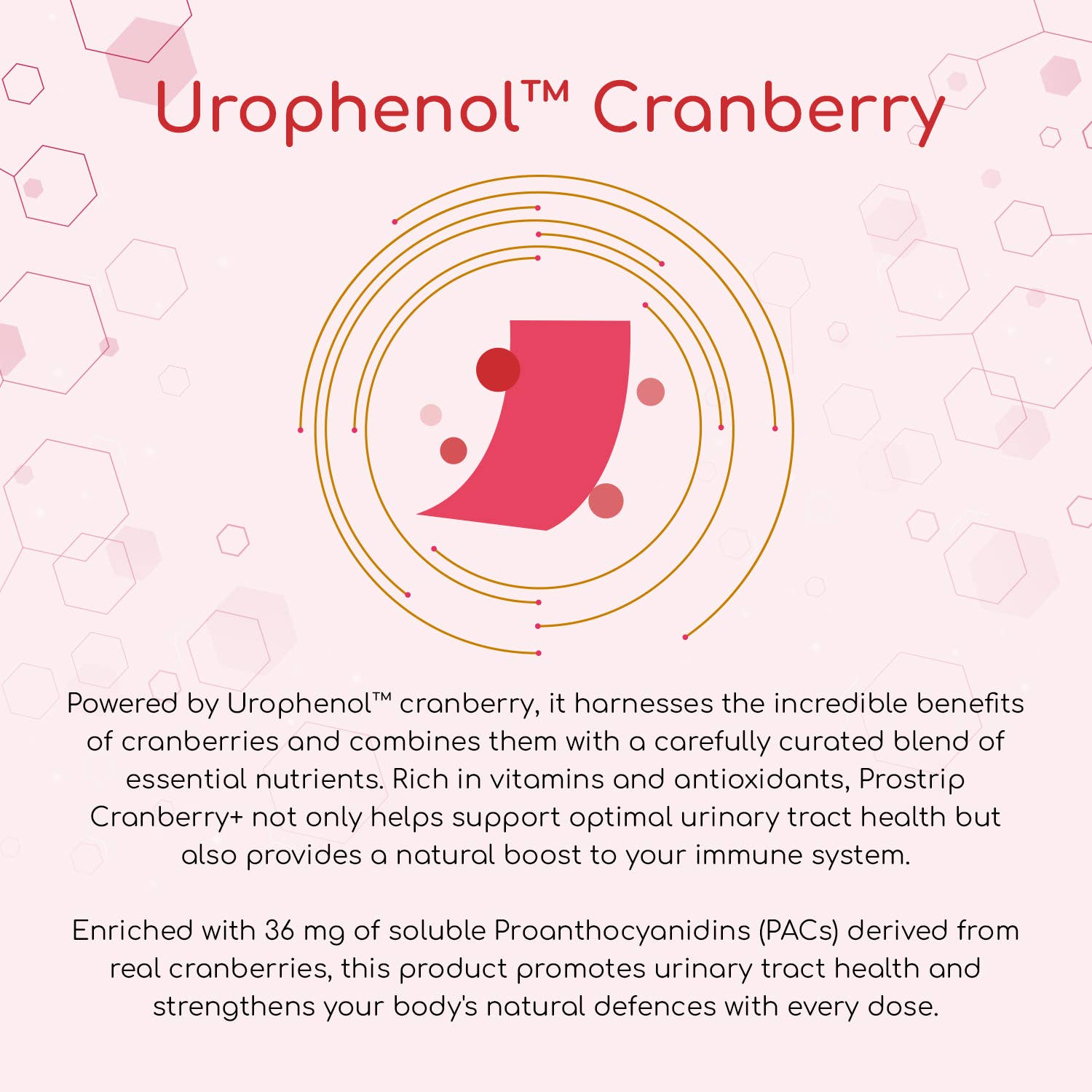 Urophenol™ cranberry benefits and immune support