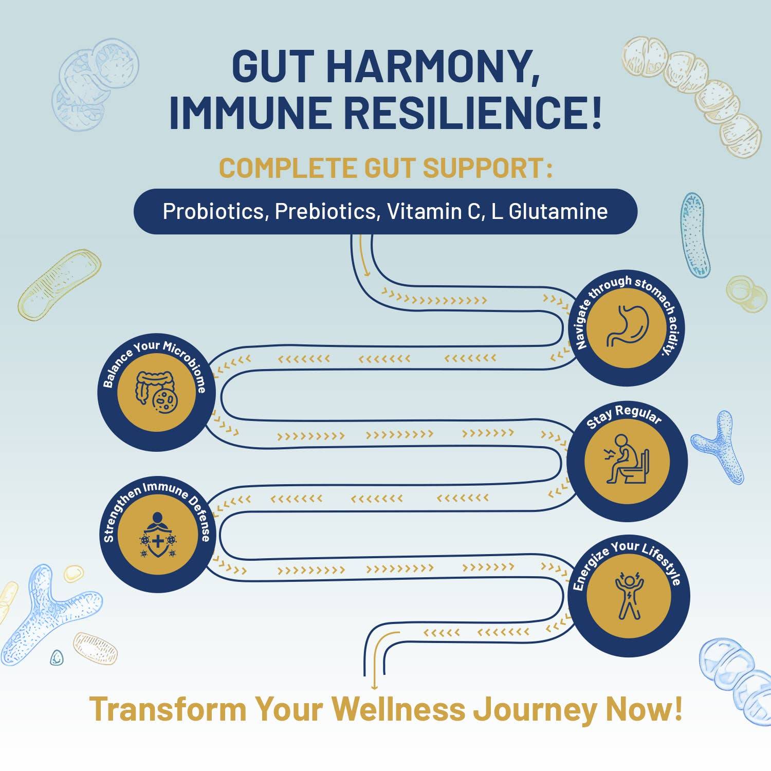 a blue and yellow poster with the words gut harmony, immune resili